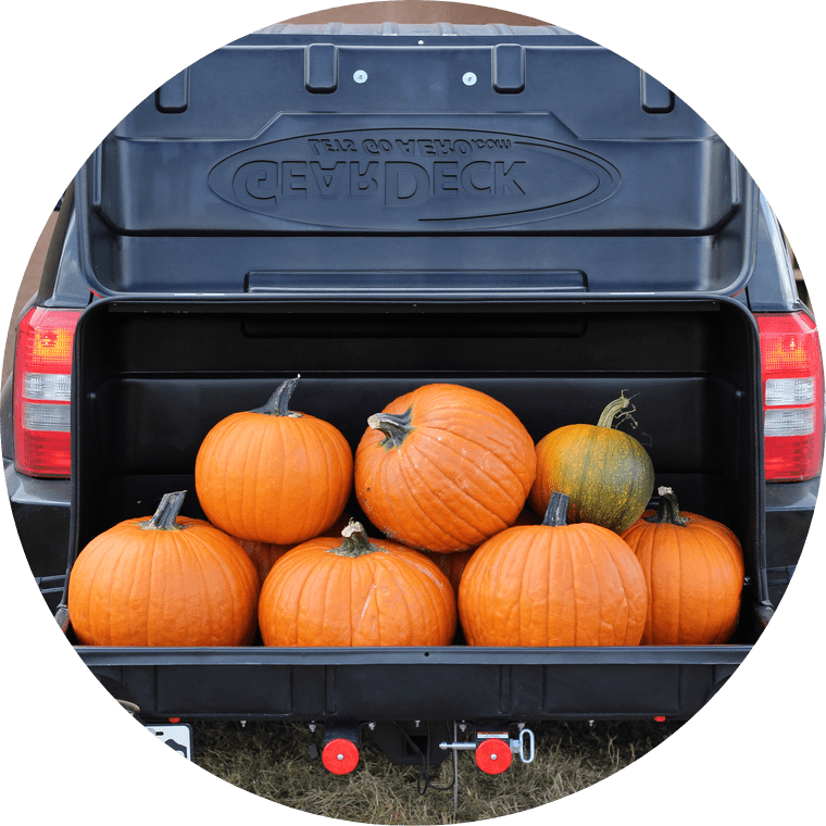 Van Rental In Houston